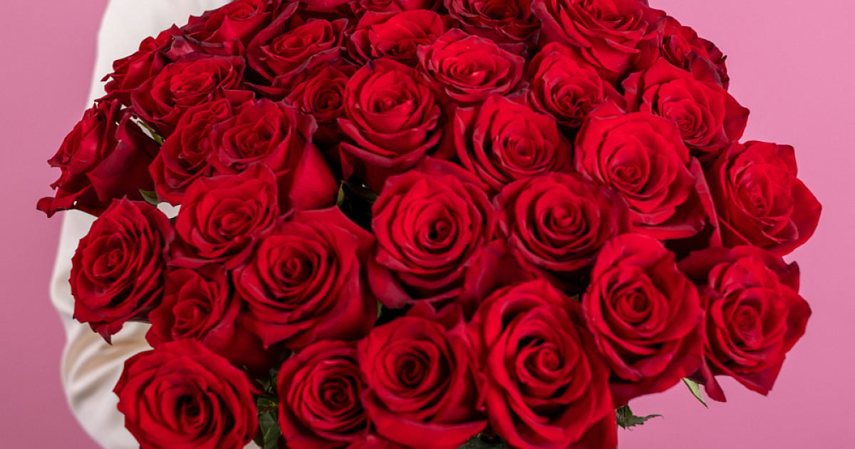 Букет из 3 красных роз 60 см с лентой, Эквадор